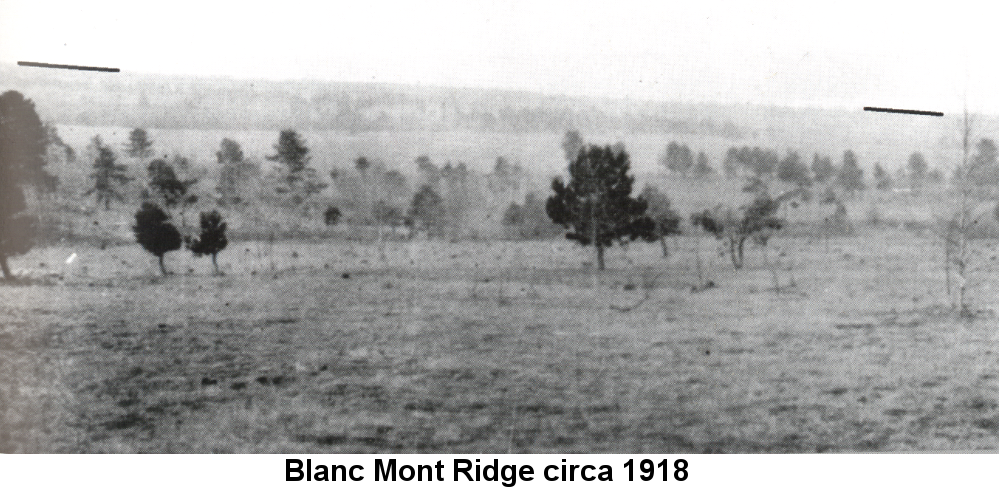 Black and white photo of a long, high wooded ridge, partially shrouded by fog in the far distance. In front of the ridge a gently undulating field stretches away from the camera, punctuated by many small trees in the middle distance.